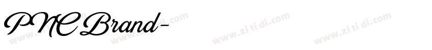 PNC Brand字体转换